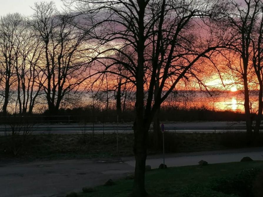 17 Dünenweg Dünenblick Daire Boltenhagen  Dış mekan fotoğraf